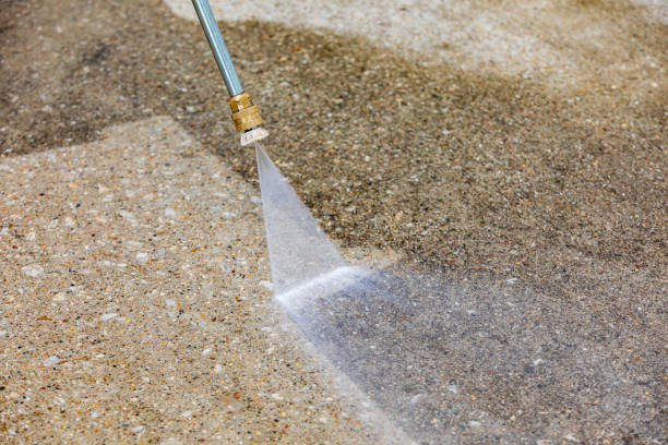 Best Gutter Cleaning  in Toccoa, GA