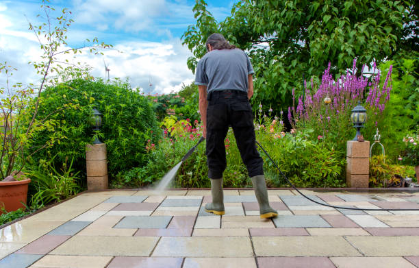 Reliable Toccoa, GA  Pressure Washing Services Solutions