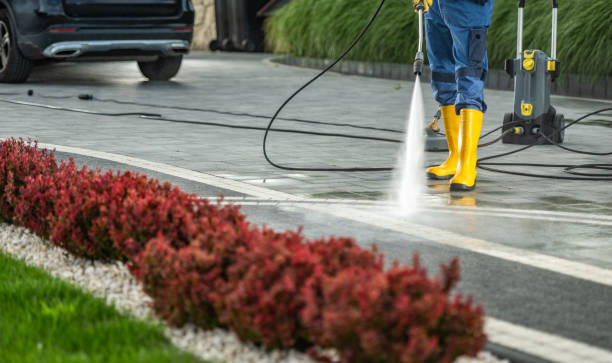Best Driveway Pressure Washing  in Toccoa, GA