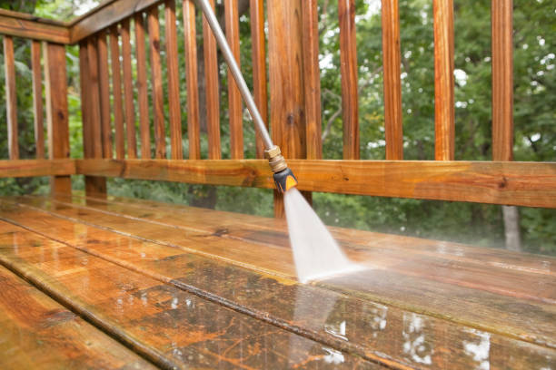 Best Animal Enclosure Cleaning  in Toccoa, GA